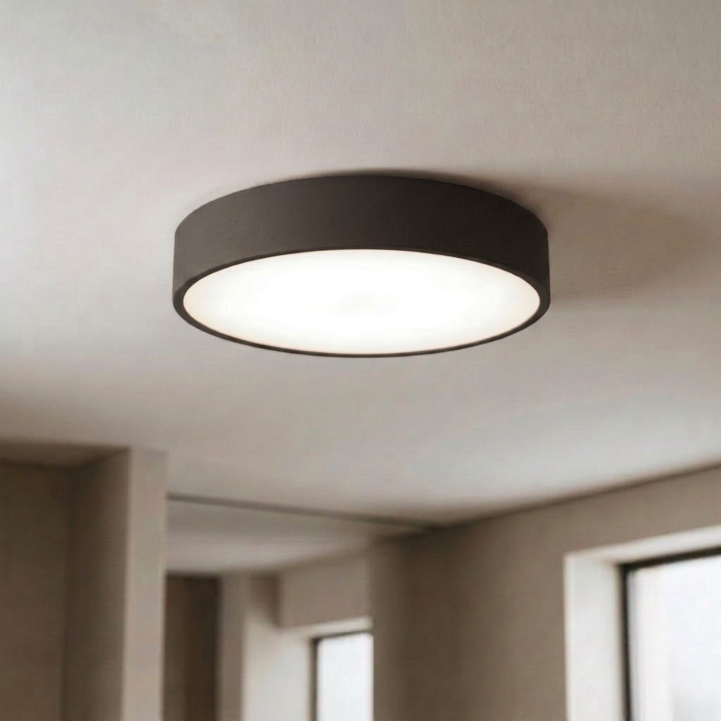 Nordic Coloured Ceiling Light