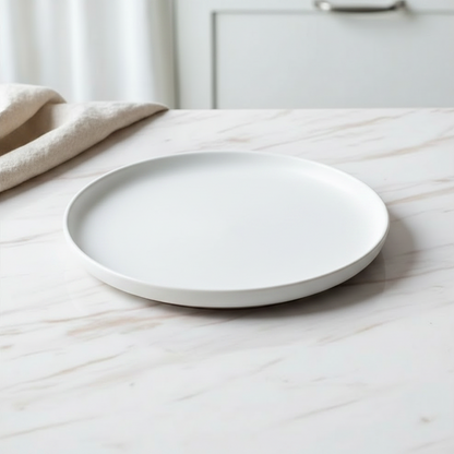 Ceramic Steak Dinner Plates