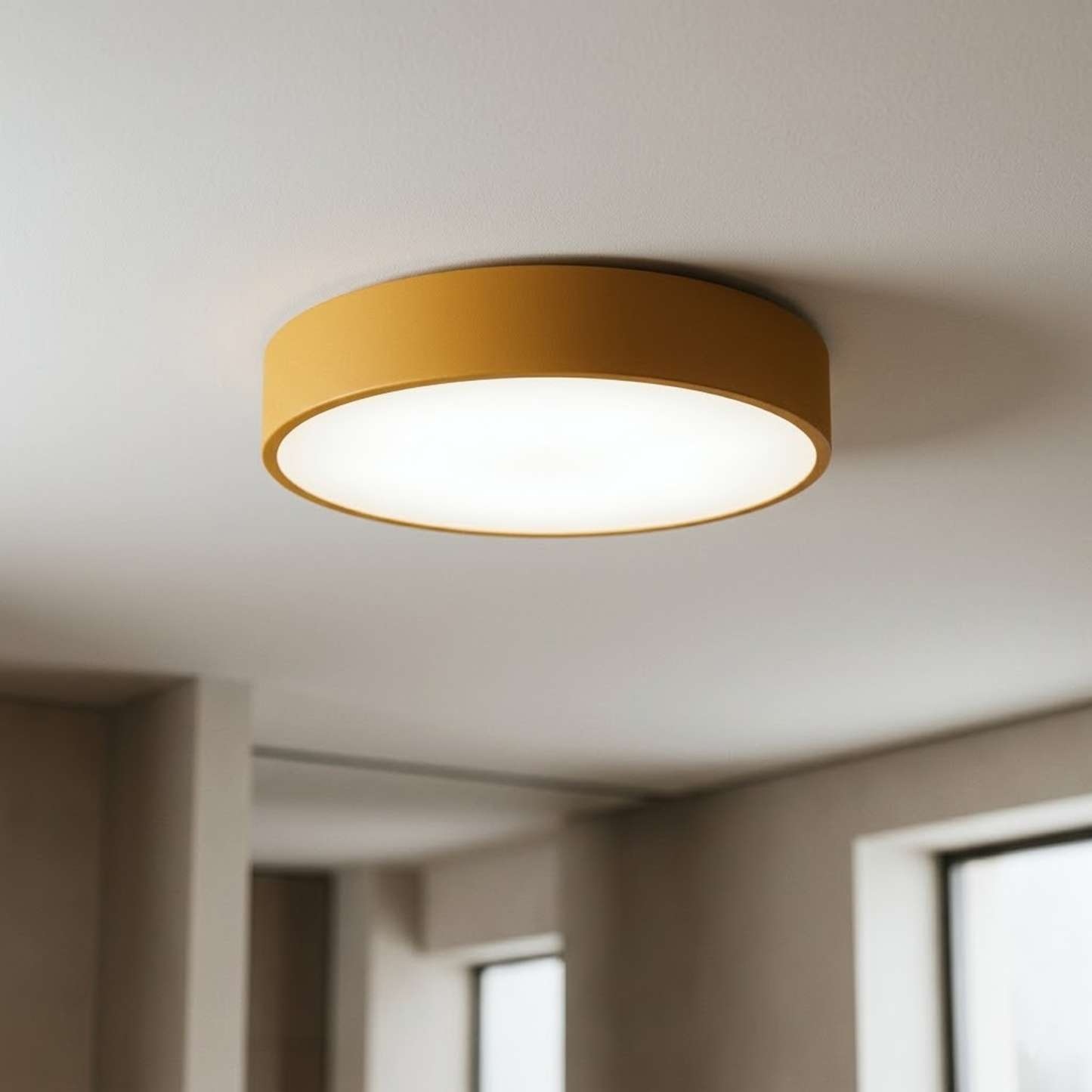 Nordic Coloured Ceiling Light
