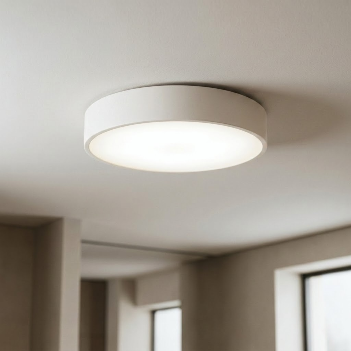 Nordic Coloured Ceiling Light