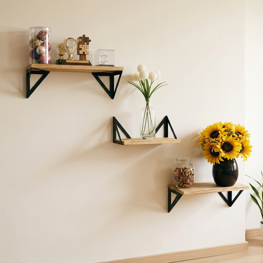 Minimalist Floating Wall Shelf
